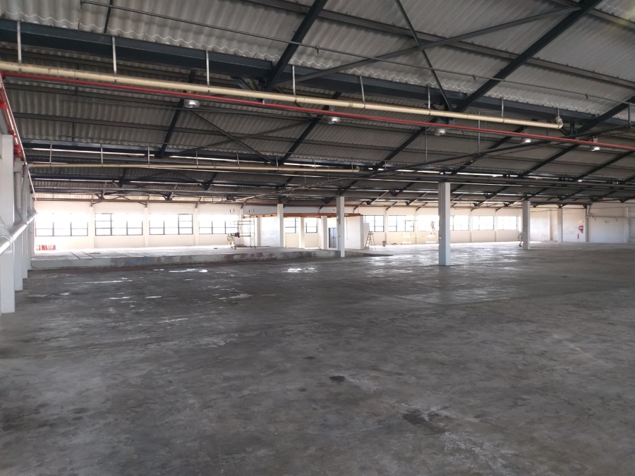 To Let Commercial Property for Rent in Paarden Eiland Western Cape